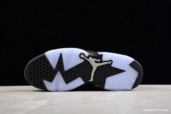 Jordan Retro DX2836-001 6 DX2836-001 Silver Metallic 0306